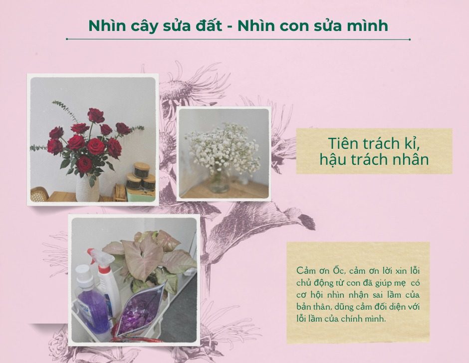 Nhìn cây sửa đất – Nhìn con sửa mình&nbsp;(P2)