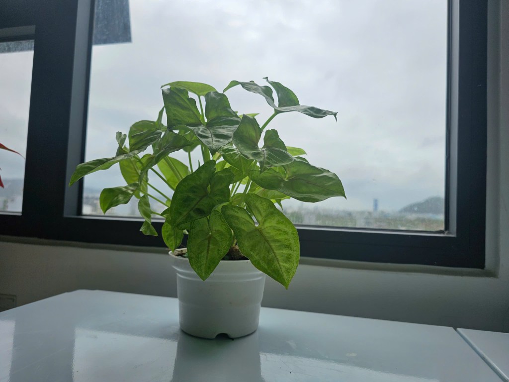 Một góc nhìn khác về câu chuyện bé Vân An, nhân một ngày đặc&nbsp;biệt.